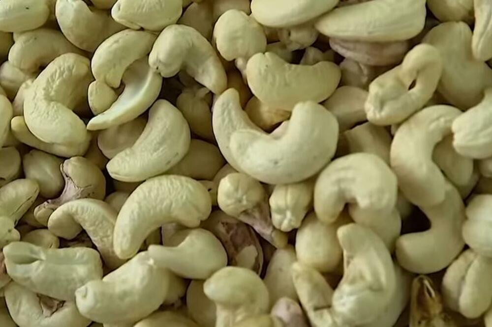 KAD BUDETE ČULI KOLIKO JE DOBAR INDIJSKI ORAŠČIĆ, NEĆETE USTAJATI SA STOLA: Evo kako utiče na ZDRAVLJE