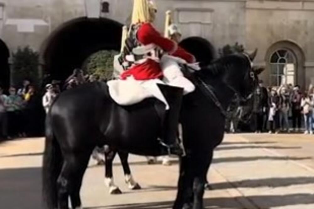 STAO JE IZA KONJA, A ONDA JE DOBIO SNAŽAN UDARAC U GRUDI: Ljudi u NEVERICI, posle incidenta samo je... (VIDEO)