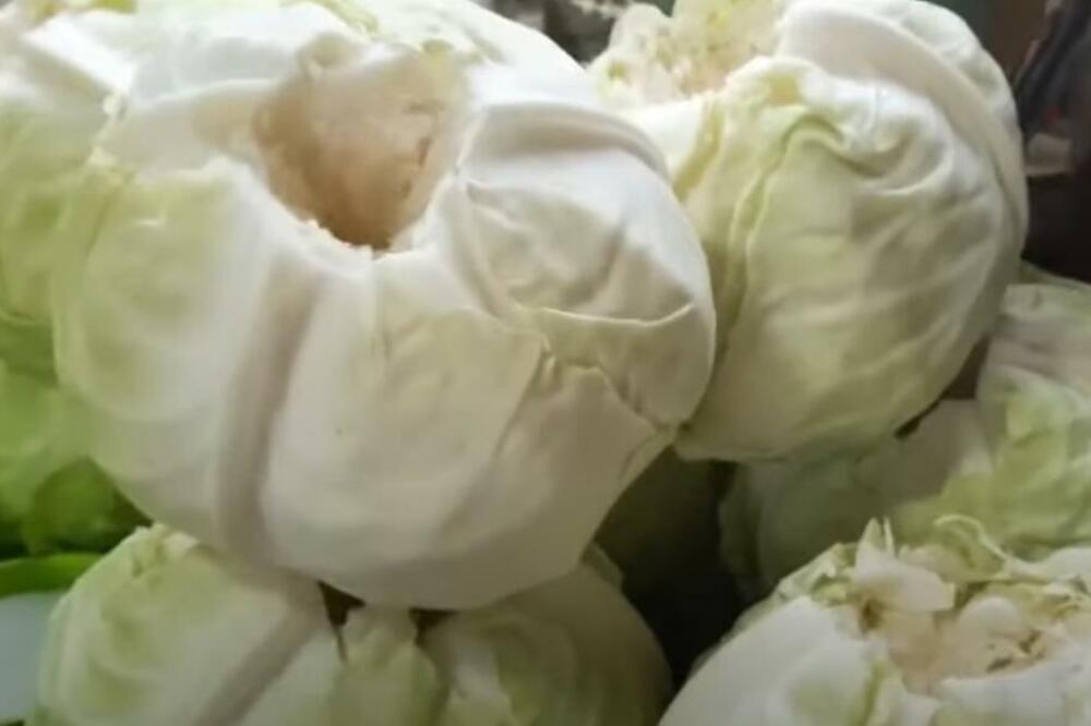 OVO SE DEŠAVA U ORGANIZMU DOK JEDETE KISELI KUPUS: Kad vidite šta radi SRCU i VISOKOM PRITISKU, ješćete ga ŠTO VIŠE