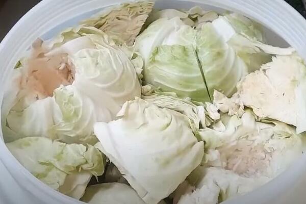 Evo kako da se kiseli kupus nikad ne pokvari: Ni za 3 života ne može da propadne, spašava ga samo ovo