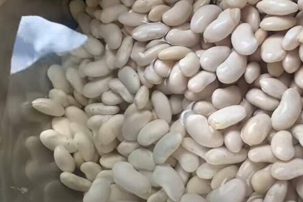 NOVINARKA JE JELA PASULJ CELU NEDELJU, PA ZANEMELA ZBOG NALAZA: Nije mogla verovati šta se desilo sa KRVNOM SLIKOM