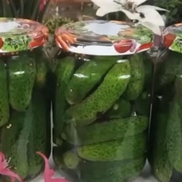 Novinarka je nedelju dana pila samo vodu od kiselih krastavaca: Rešila je ozbiljan zdravstveni problem