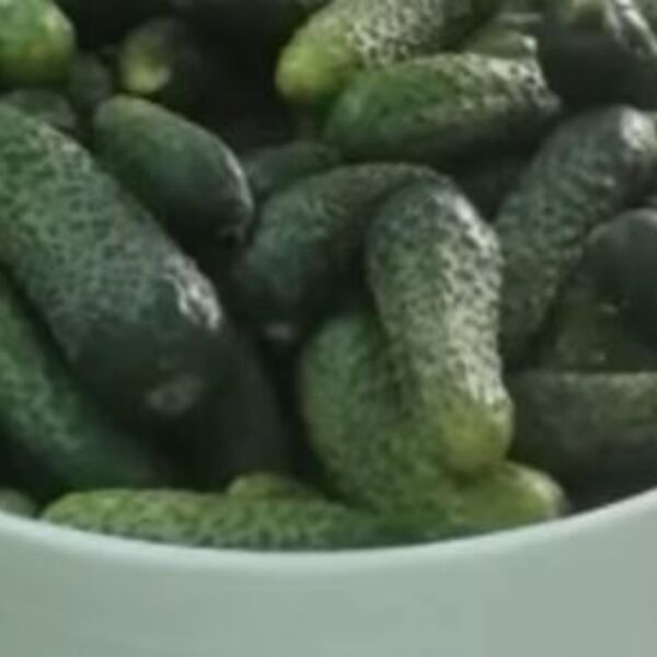 Domaćice, odmah zapišite recept: Kiseli krastavci bez konzervansa i veštačkih dodatka koje ćete tamaniti