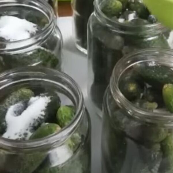 Recept za brzu zimnicu bez muke i velikog truda: Od četiri kilograma kornišona čak 11 tegli (VIDEO)