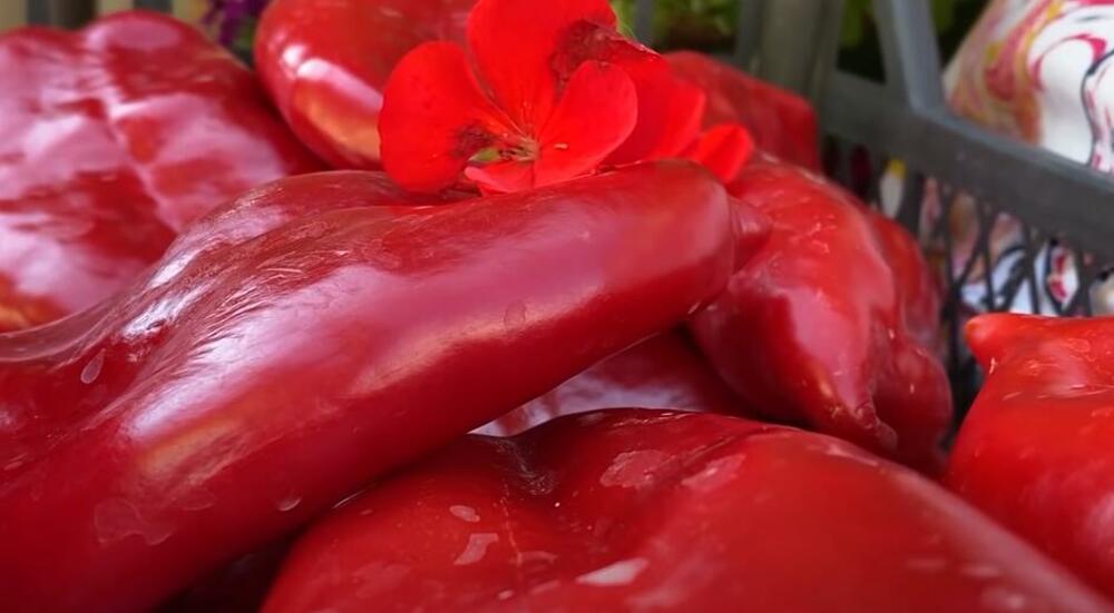 Kisela peglana paprika