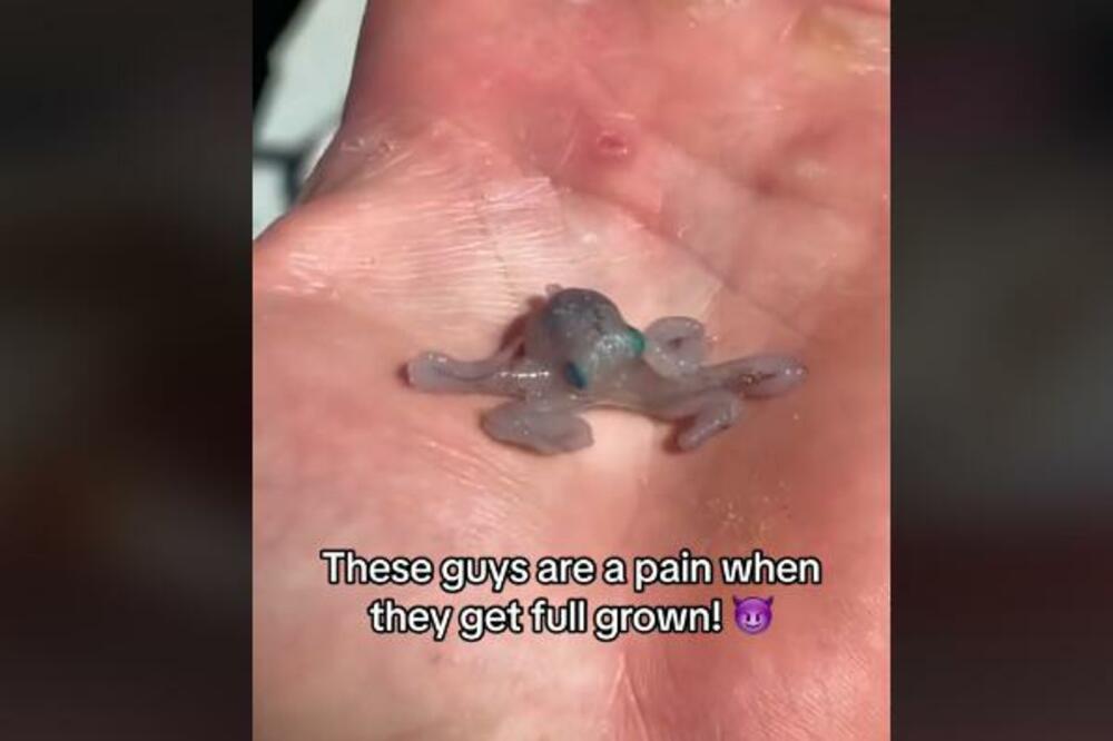 RIBAR POKAZAO NAJBIZARNIJA STVORENJA KOJA JE UHVATIO: Neka su slatka, ali OVA su kao iz HOROR FILMA (VIDEO)