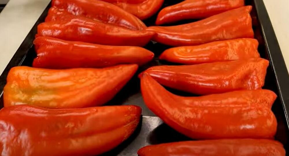 Crvene paprike u plehu