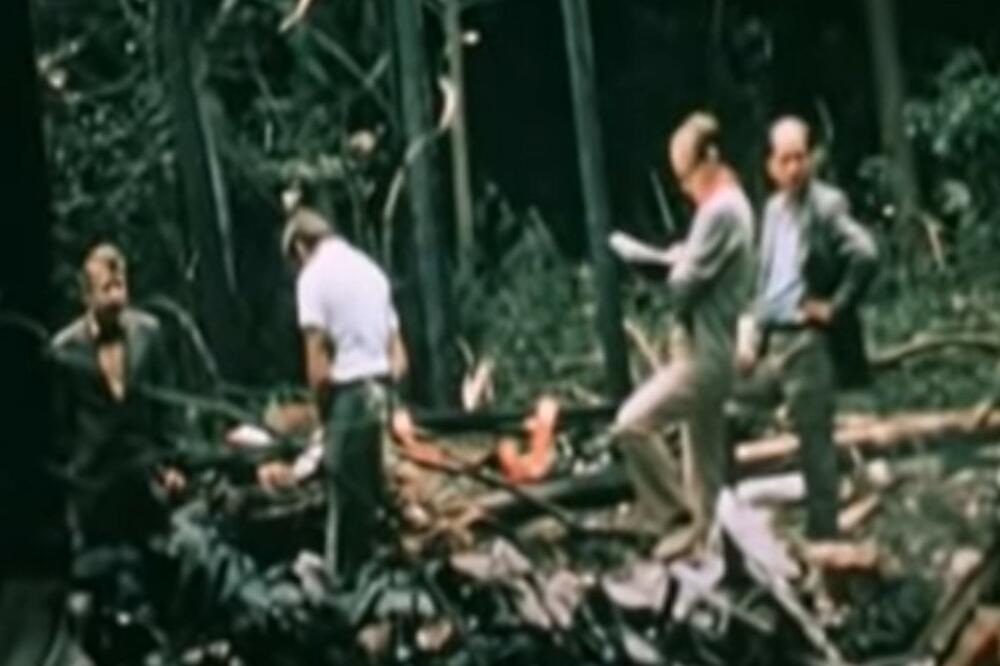 "LJUDI SU PADALI S NEBA KAO KIŠA": Ovo je NAJSTRAŠNIJA avionska nesreća koja je zadesila JUGOSLAVIJU (VIDEO)