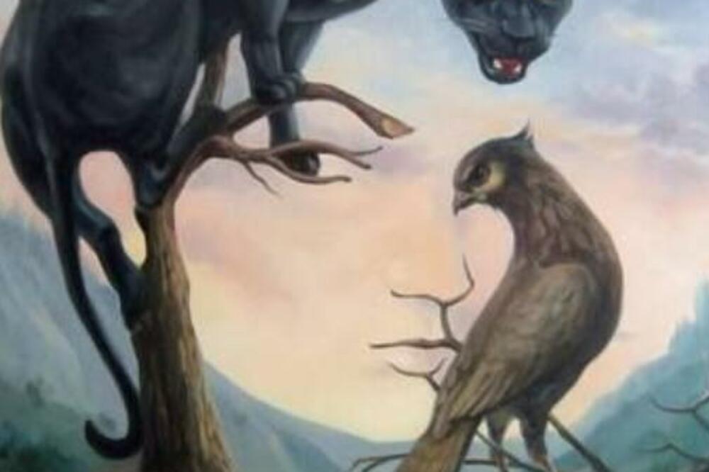 TEST PODSVESTI KOJI OTKRIVA NAJDUBLJE STVARI O ČOVEKU: Ono što prvo VIDITE na slici je vaša VODILJA života (FOTO)