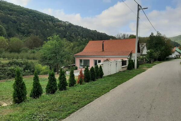 KUPILA KUĆU NA SELU PA UGLEDALA NEŠTO OD ČEGA JE U SEKUNDI ZANEMELA: Ljudi je posavetovali da ODMAH TO UKLONI! FOTO