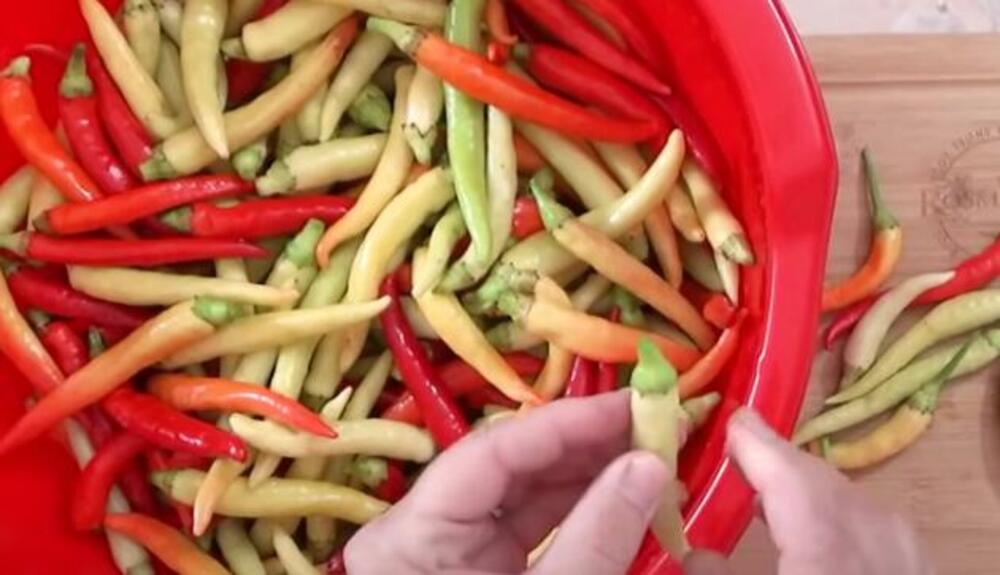 Ljute papričice u činiji