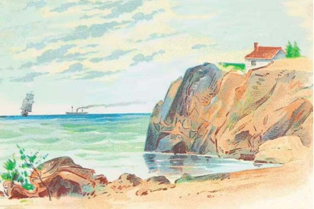 OPTIČKA ILUZIJA KOJU MOGU DA REŠE SAMO NAJPAMETNIJI: Ako za 15 sekundi nađete 4 životinje pravi ste GENIJE (FOTO)