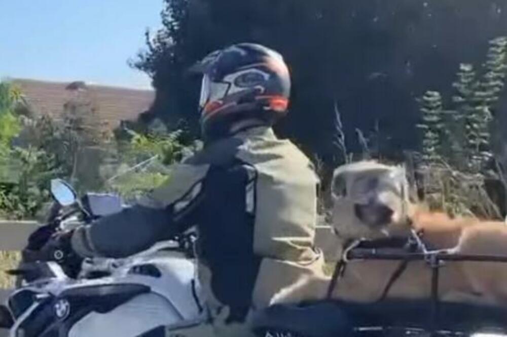 BAJKER KOJI VOZI PSA ODUŠEVIO BEOGRAĐANE: Svi mu pišu da je GENIJALAC zbog toga što je uradio (VIDEO)