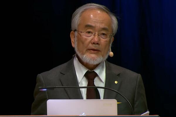 NAJZDRAVIJI NAČIN ISHRANE KOJI JE DOBIO NOBELOVU NAGRADU: Koristio ju je i NOVAK ĐOKOVIĆ, a ovako utiče na ZDRAVLJE