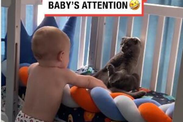 MAČKA KOJA POKUŠAVA DA IZBEGNE DRUŽENJE SA BEBOM: Snimak koji je RASPAMETIO milione ljudi na instagramu (VIDEO)