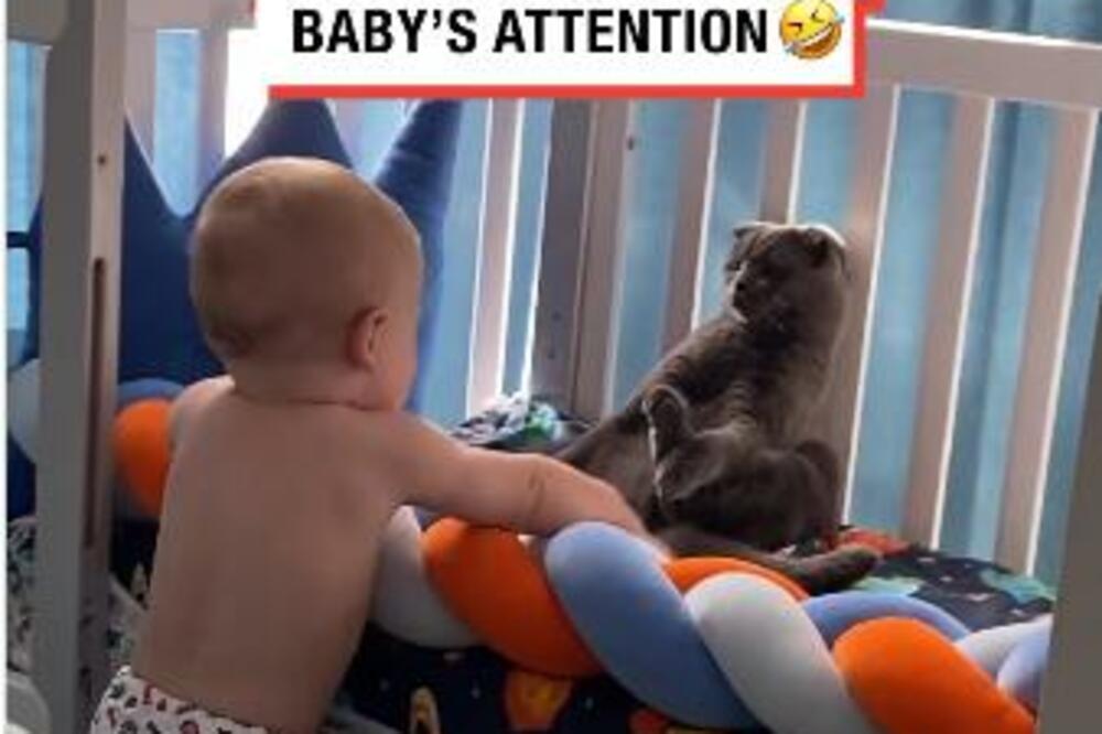 MAČKA KOJA POKUŠAVA DA IZBEGNE DRUŽENJE SA BEBOM: Snimak koji je RASPAMETIO milione ljudi na instagramu (VIDEO)