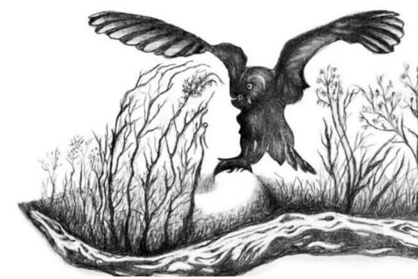 SAMO NADPROSEČNO INTELIGENTNI MOGU DA PRONAĐU LICE ŽENE U ŠUMI: Dobro se skoncentrišite