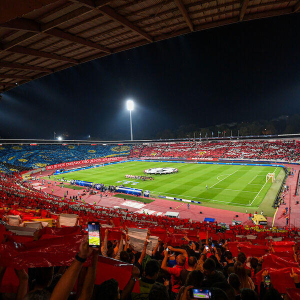 Velika novina u Zvezdi!