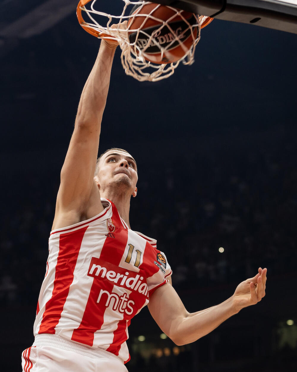 Marko Simonović na utakmici Crvene zvezde i Asvela