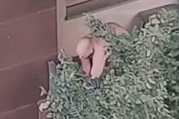 OSUĐEN CRNOGORAC KOJI JE PRETUKAO ŽENU U HOTELU I HTEO DA JE BACI SA TERASE: Priznao krivicu i dobio OVU KAZNU!