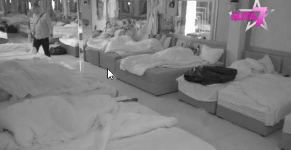 Milica Veličković i Terza u akciji