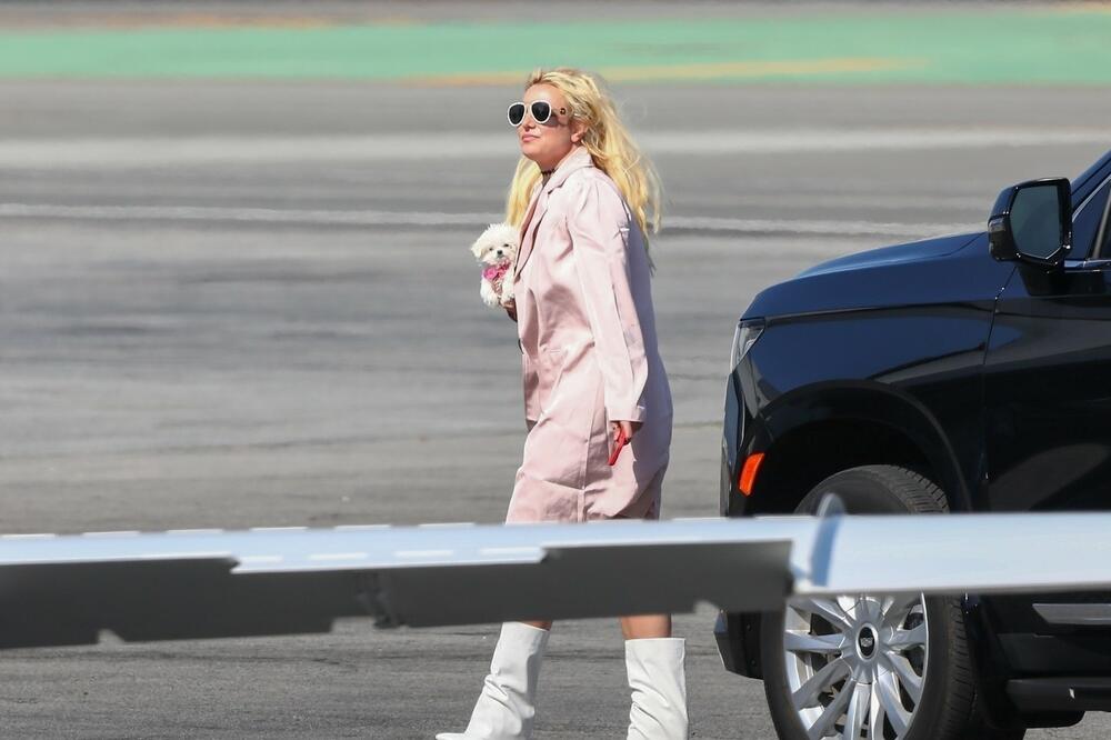 ŠTA SU SINOVI REKLI? MEMOARI BRITNI SPIRS IZ DANA U DAN SVE SU POPULARNIJI: Naslednici imaju NEGATIVNO mišljenje