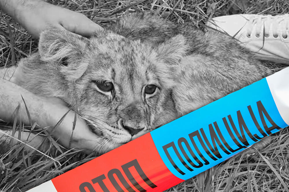 SUMNJA SE DA JE ŽENA (33) IZ SUBOTICE IZ STANA PUSTILA LAVICU KIKI: Oglasilo se tužilaštvo