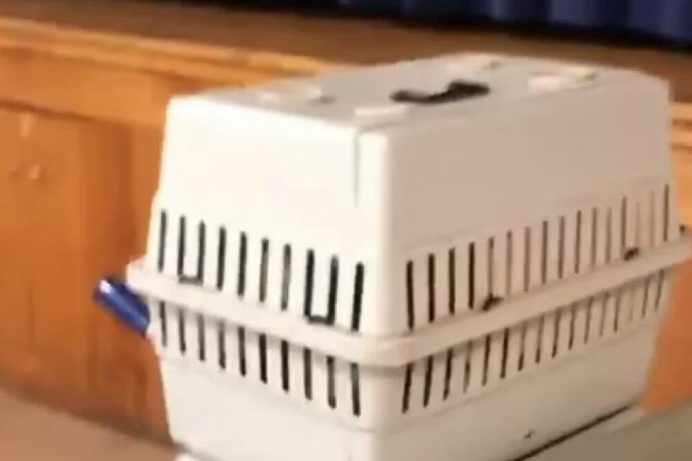 PLAČ BEBE DOPIRAO PRAVO IZ KAVEZA: Čovek požurio da IZBAVI DETE, ono što je pronašao unutra ga je ŠOKIRALO (VIDEO)