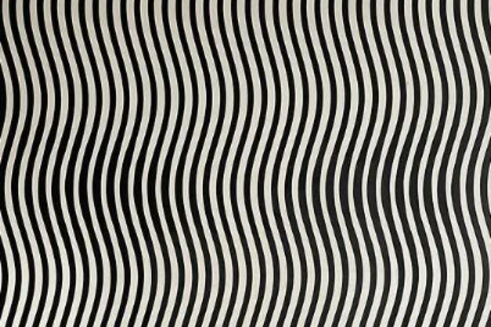 SAMO OSOBE SA VISOKOM INTELIGENCIJOM ĆE VIDETI ŠTA JE NA SLICI: Ova optička iluzija je SRUŠILA INTERNET (FOTO)