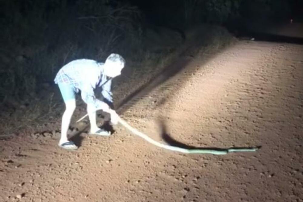 PRIŠAO JE ZMIJI SA LEĐA I POVUKAO JE ZA REP: Ono što se desilo, zaista ledi krv u žilama, sve je snimljeno (VIDEO)
