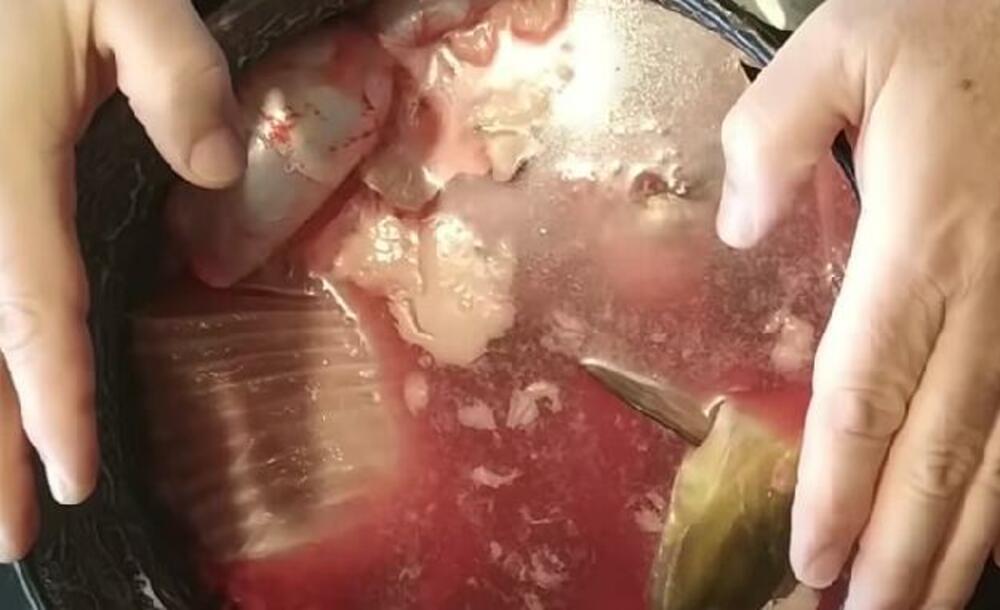 Kuvanje riblje čorbe