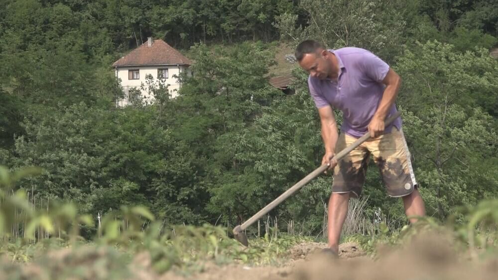 Njegoš Stojadinović