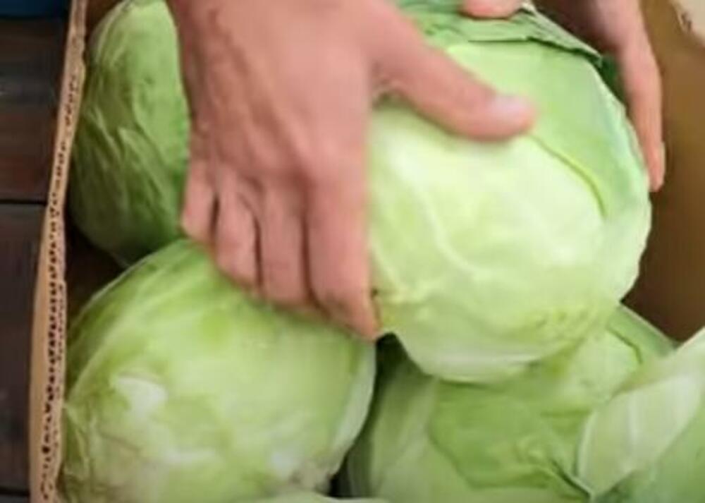 Glavice kupusa u kartonskoj kutiji