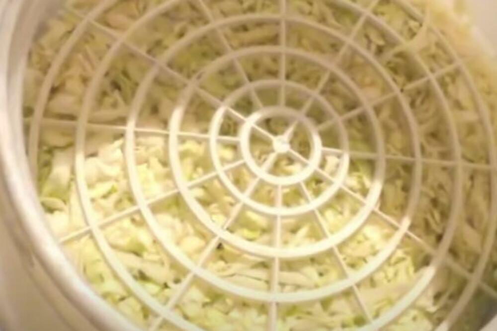 KUPUS RIBANAC U BURETU: Najjednostavniji recept - stare majke ga samo tako kisele