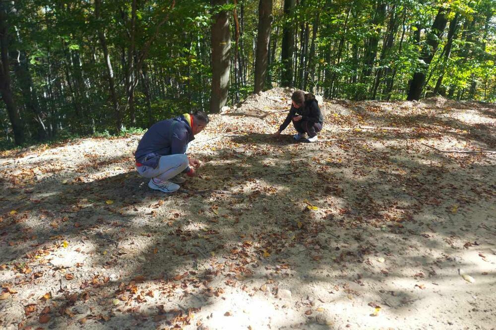 ISKORISTITE ŠANSU: Žir rodio posle četiri godine!