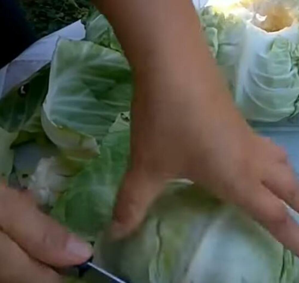 Čišćenje glavica kupusa