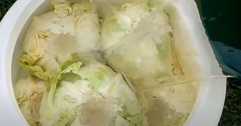 Voda u kiselom kupusu