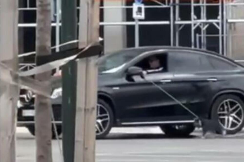 "BOLJE MU JE DA ŽIVI SAM NA ULICI": Beograđani POBESNELI zbog čoveka koji vozi auto i ŠETA PSA ISTOVREMENO