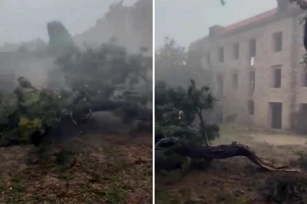 NEVREME PROTUTNJILO HRVATSKOM: Orkanski vetar lomio sve pred sobom, snimljen trenutak dolaska NEPOGODA (VIDEO)
