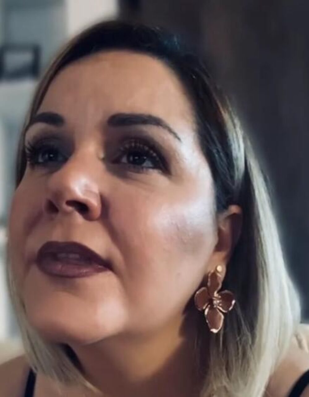 Uprkos uspehu pesme 'Hani hani' 2007. godine, Silvija se povukla sa scene.