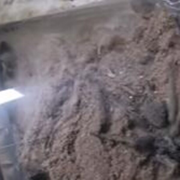 KRENULA JE DA USISAVA SPAVAĆU SOBU, A ONDA JE SAMO VRISNULA: Zbog ono gšto je videla u USISIVAČU noćima NE SPAVA