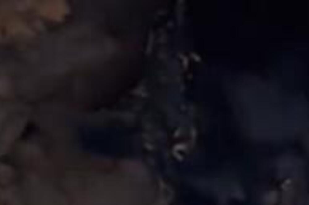 OTIŠAO JE U ŠUMU, A ONDA JE ZAVIRIO U MALU PEĆINU: Posle samo jedne SEKUNDE je počeo da beži kada je VIDEO...