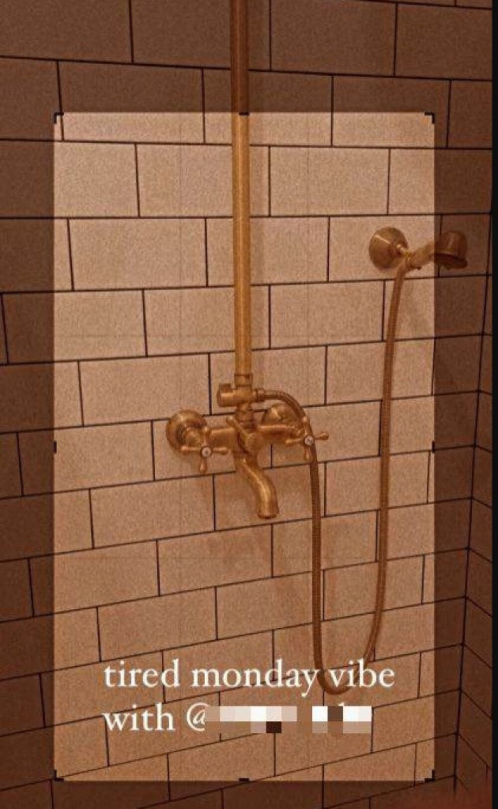 Jelena nije pred pratiocima želela da skriva kako njen kutak izgleda