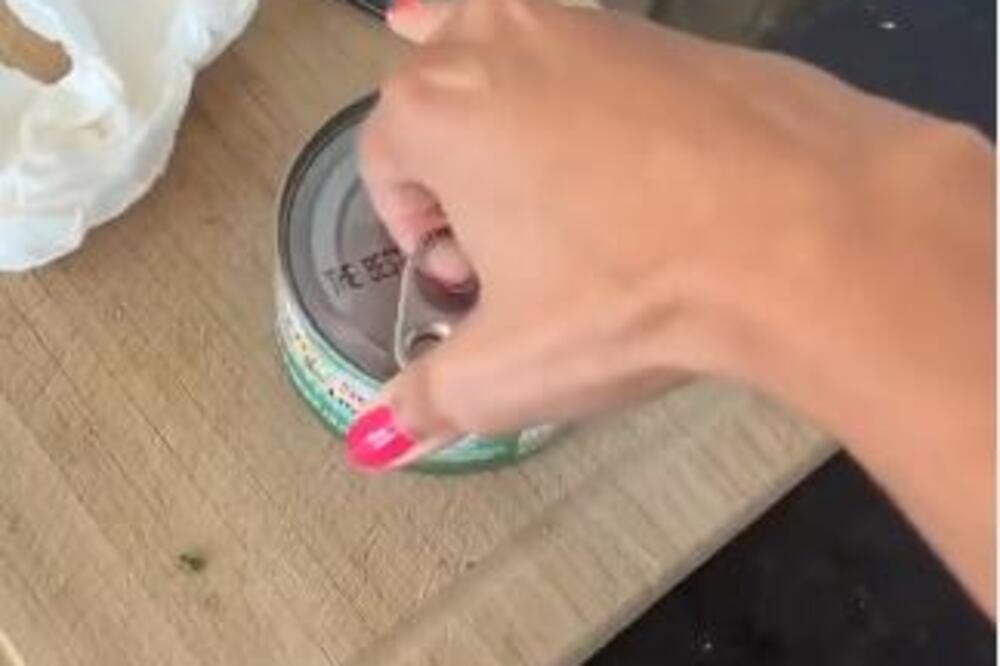 ŽENA OTVORILA KONZERVU SA HRANOM I DOBILA BESPLATAN KONCERT U KUĆI: Reakcija ljudina ovu MAČKU je još luđa (VIDEO)