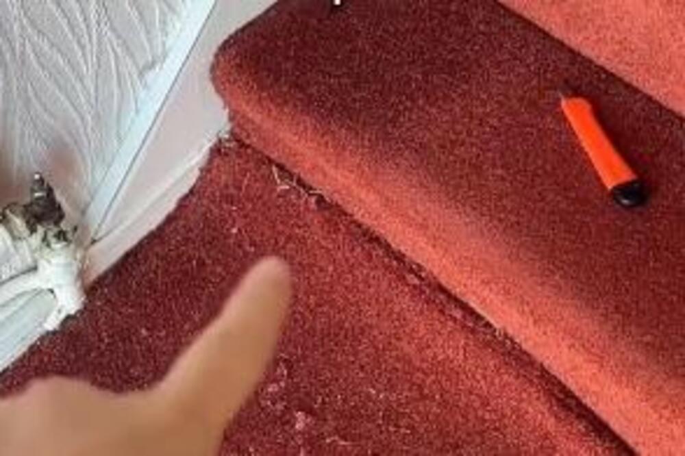 KADA JE ZAVRNULA CRVENI TEPIH U STAROJ KUĆI UMALO NIJE PALA U NESVEST: Ovo se dešava JEDNOM U MILION, pazite se