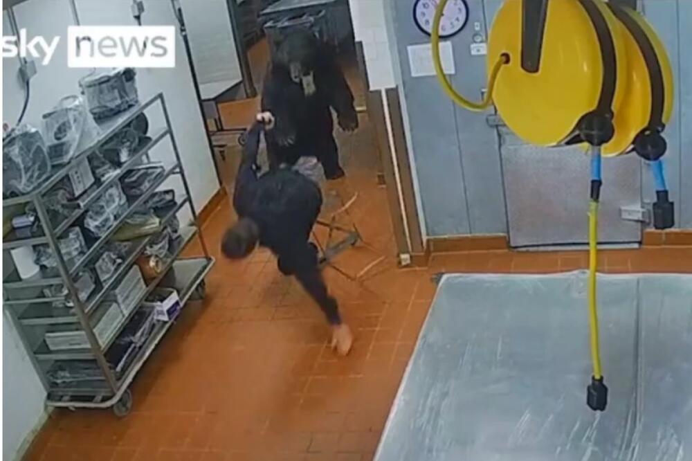 DIVLJA ZVER UPALA U LUKSUZNO ODMARALIŠTE: Čuvara bacila na POD, pocepala mu KOŠULJU, a onda... (VIDEO)