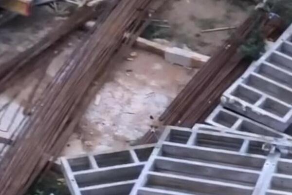 POJAVILA SE DIVLJA ZVERKA NA BANJICI U RANIM JUTARNJIM SATIMA: Beograđani se šokirali