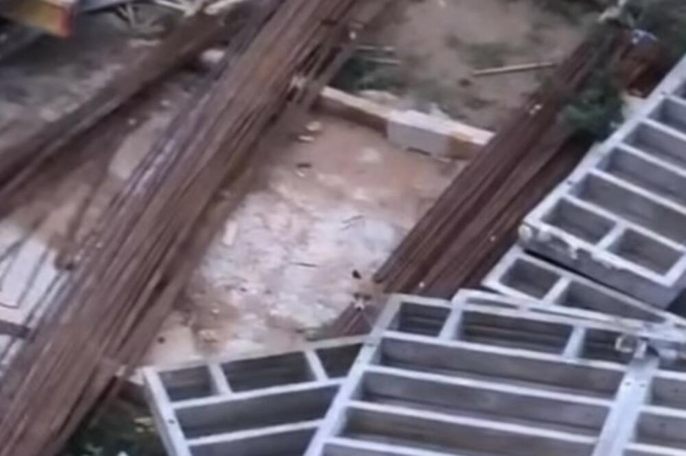 POJAVILA SE DIVLJA ZVERKA NA BANJICI U RANIM JUTARNJIM SATIMA: Beograđani se šokirali