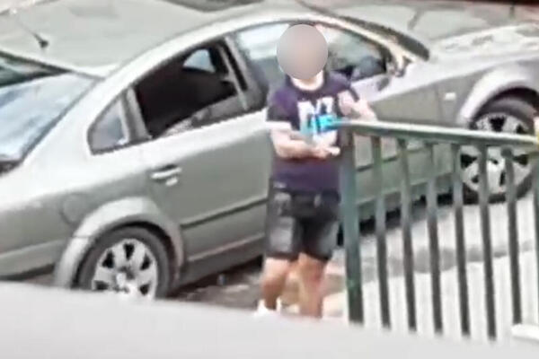 DIVLJACI UNIŠTAVALI SVE PO ZGRADI I DVORIŠTU U KRNJAČI: Građani u panici se hvatali za glavu (VIDEO)