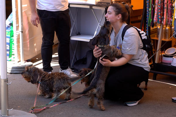 VLASNICI PASA, AKO OVO RADITE - PREKINITE ISTOG TRENA! Mogu da vam napišu paprenu KAZNU